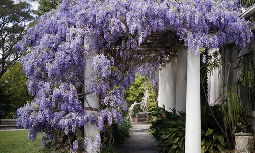 Image 6: Blue Mountains, NSW: 2N Cottage Stay