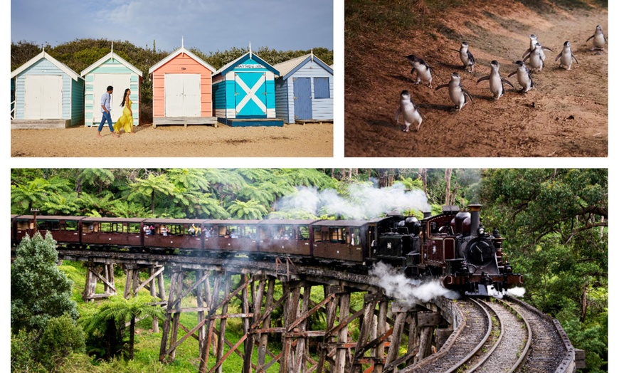 Image 1: Brighton Bathing Boxes, Puffing Billy & Phillip Island Day Tour