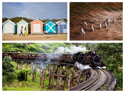 Brighton Bathing Boxes, Puffing Billy & Phillip Island Day Tour - one Child