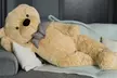 Oversized Super Soft Teddy Bear 90cm-250cm - Image 2