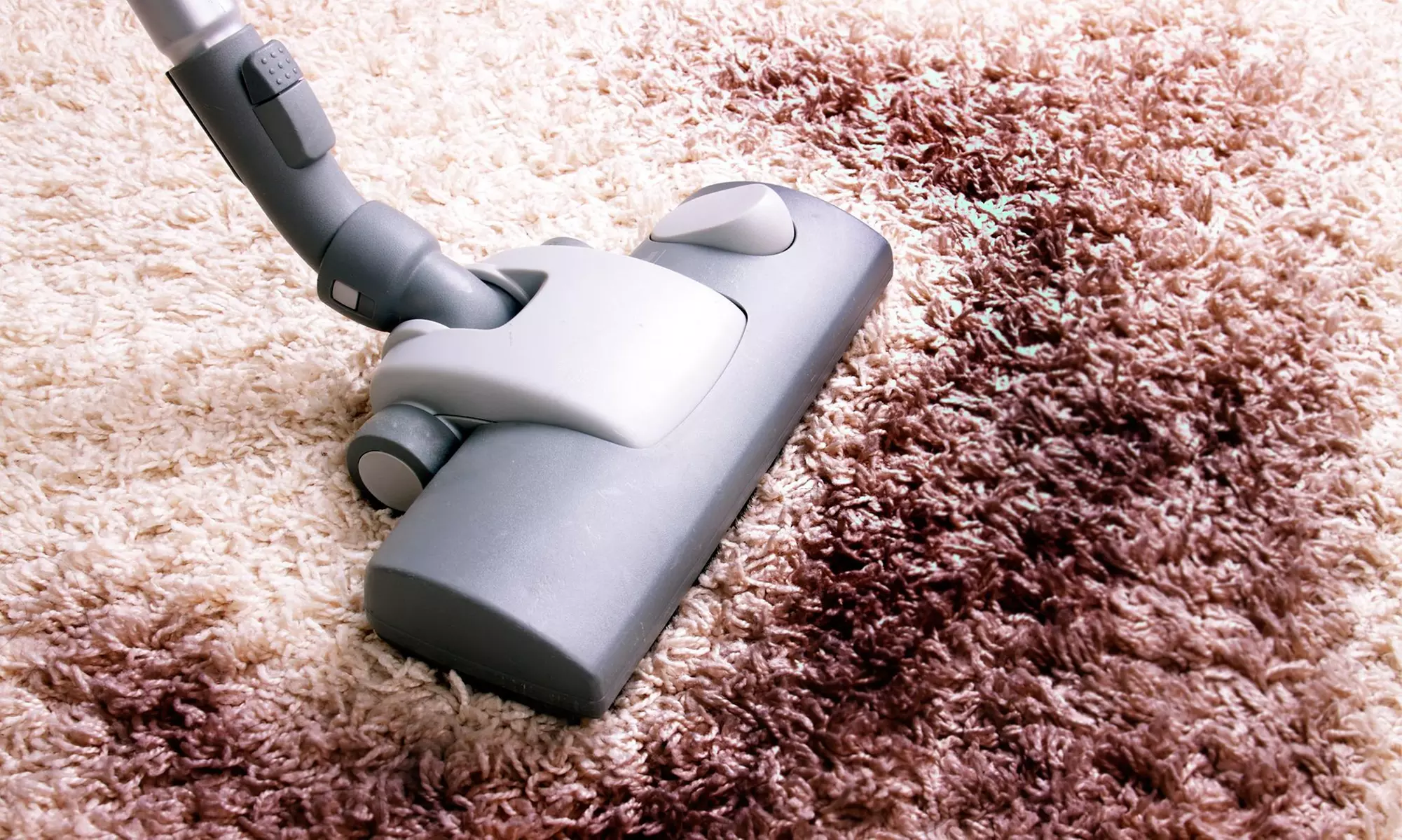 Up to 58% Off deep steam carpet cleaning at Five Diamond Carpet Cleaning - Primary Image