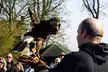 Roofvogelworkshop bij Settels Roofvogels in Bunschoten-Spakenburg - Second Medium