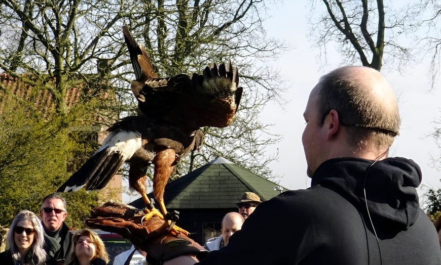 Image 5: Roofvogelworkshop