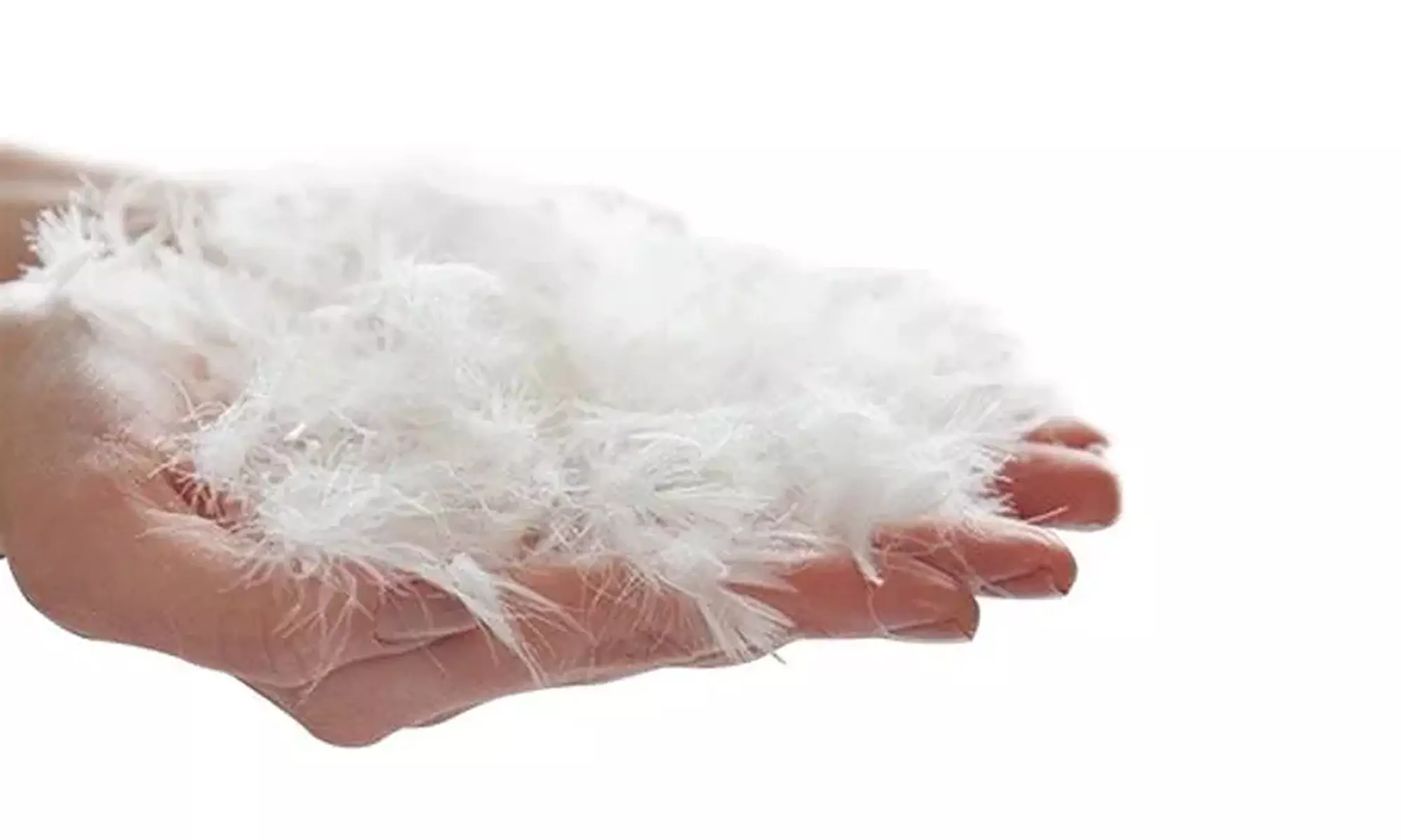 Traversin 100% plumes, housse 100% coton blanc, broderie noire, oreillers plumes en option, Sampur - Second Medium