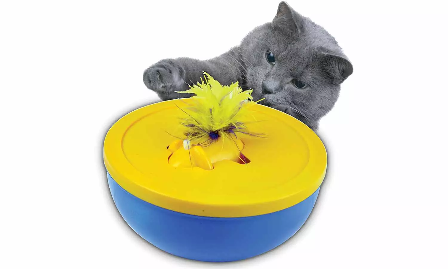 Disappearing Feather Cat Toy - Primary Image