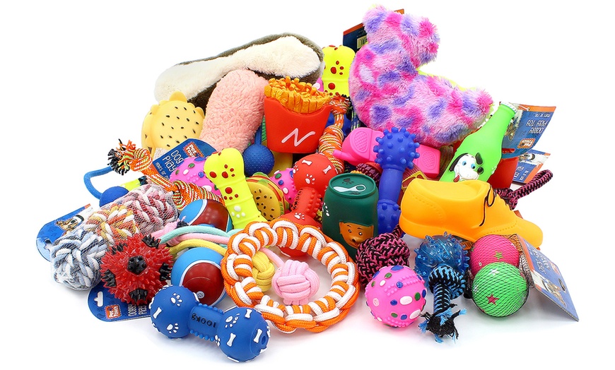 Image 2: 12-Piece Pet Toys Bundle