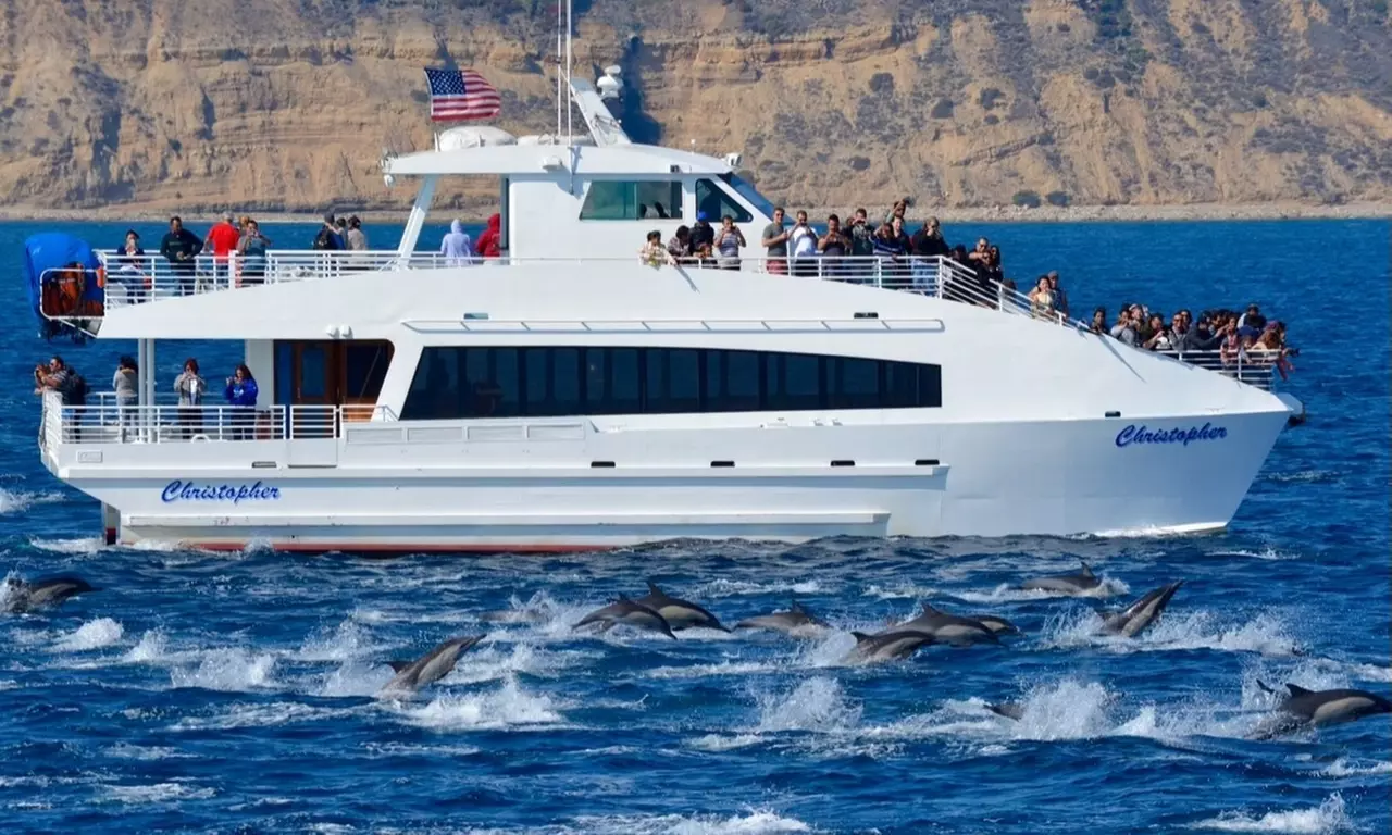 Up to 50% Off Whale Watching and Harbor Tours - Harbor Breeze
