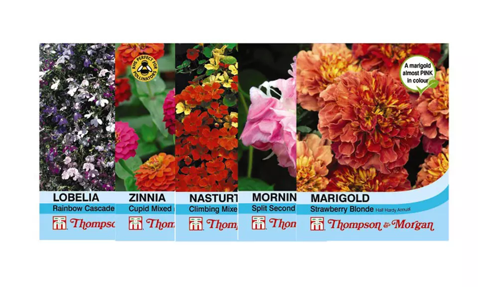 Mixed Flower and Vegetable Lucky Dip Seed Bumper Bundle - 50 or 100 Packs - Second Medium