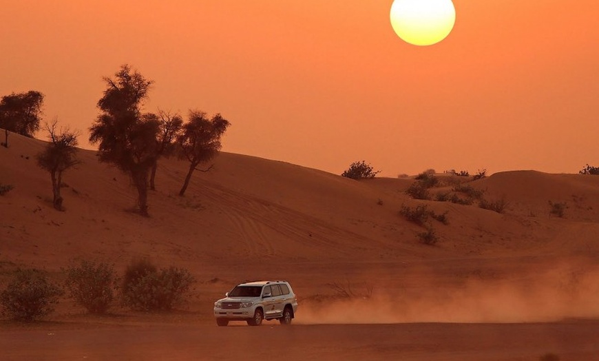 Image 3: Desert Safari with Dinner, Shows