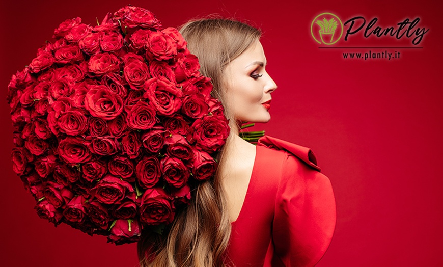 Image 2: Fino a 100 rose rosse con Plantly