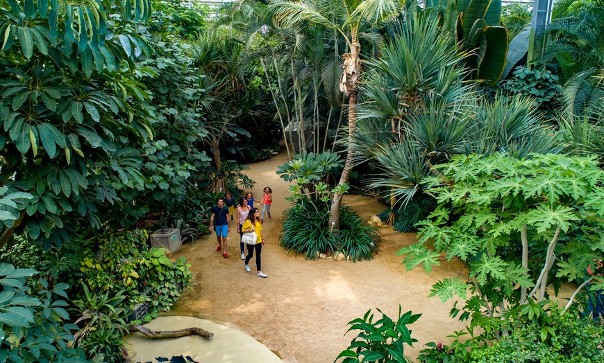 Image 7: Journée au parc Terra Botanica