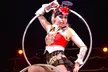 Moscow State Circus, 6 September–29 October, Multiple Locations (Up to 50% Off) - Image 3