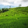 Image 11: Ultimate Vietnam Escape! 14 Days of Stays, Cruises, Flights & More
