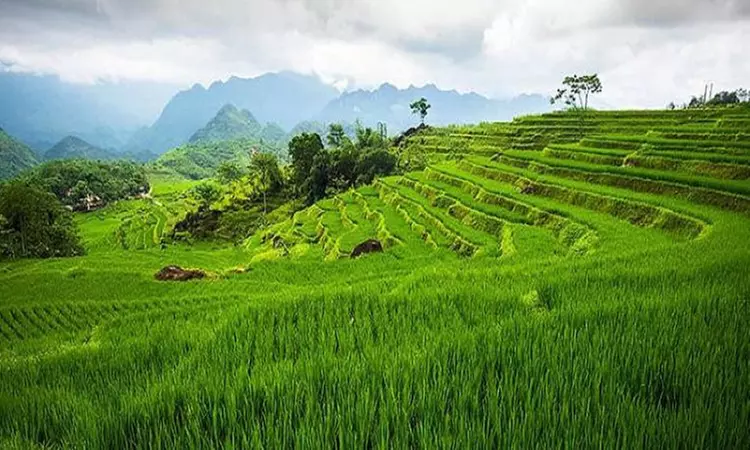 14-Day Vietnam Adventure: Stay, Cruise, Flights, Meals & Halong Tours!