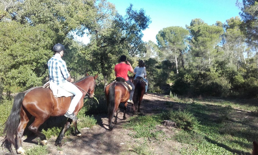 Image 5: Ruta a caballo para 2 o 4 personas en La Suara