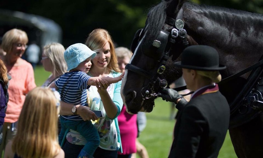 Image 4: Hale Barns Carnival Weekend Pass