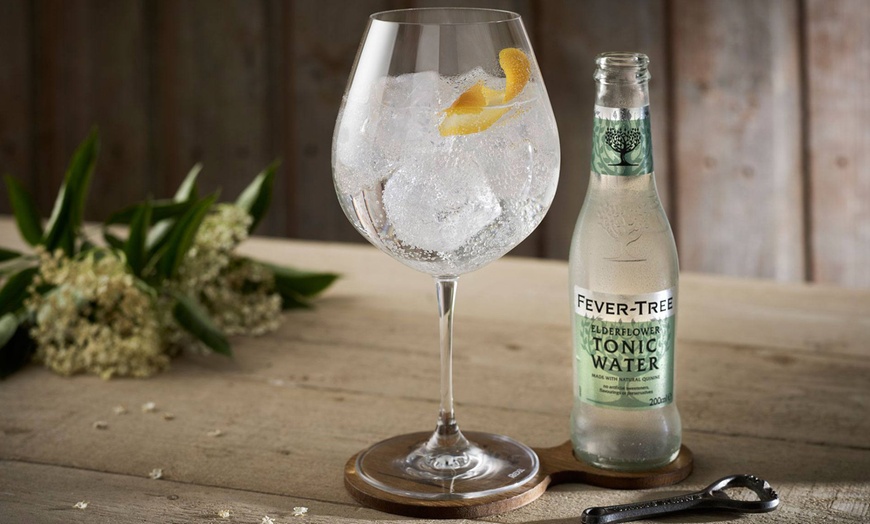 Six Gins of Choice with Tonic - The Brass Fox, Tallaght | Groupon