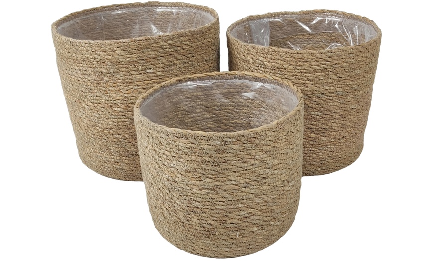 Image 15: Seagrass Planter Basket