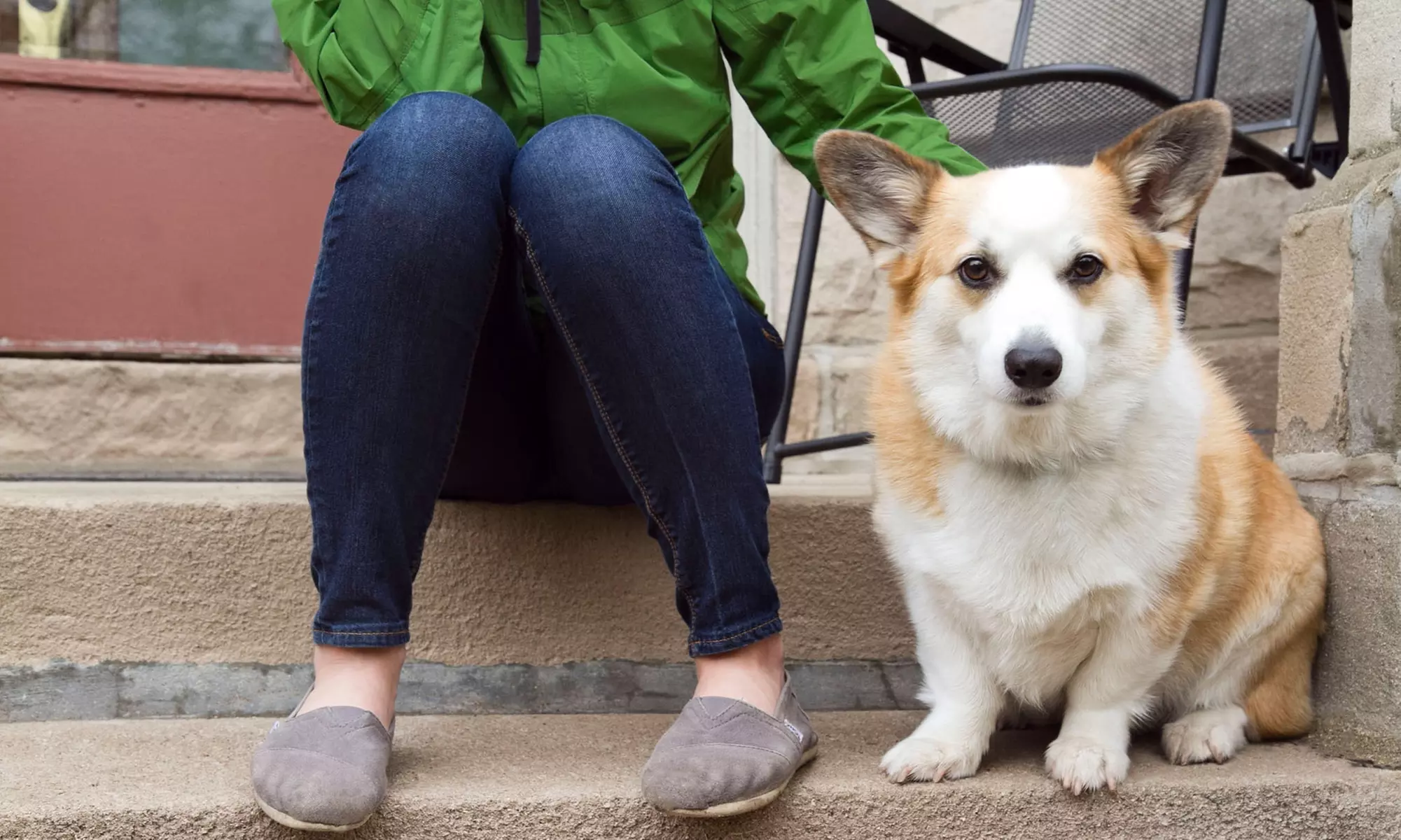$39 for Three Days of Doggie Daycare with Temperament Exam and Nail Trim at Dogtown Cincinnati ($89 Value) - Primary Image