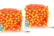 One or Two USB Plug Smart LED String Lights - Image 3