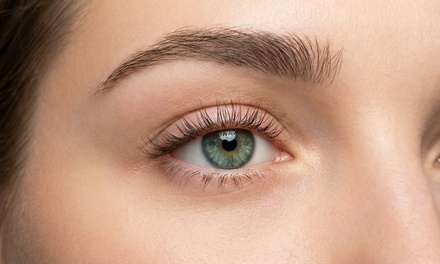 One Lash Lift Session  - YanD Esthetics