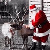 Image 2: Enjoy the Magic Of Meeting Santa and His Reindeer / Farm Visit!