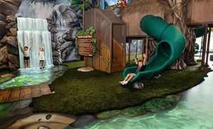 Daily admission Upto 5 to indoor jungle-themed playground fun