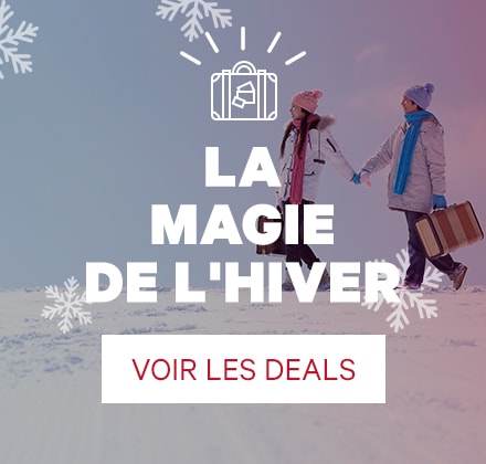 https://groupon.fr/occasion/voyages-hiver