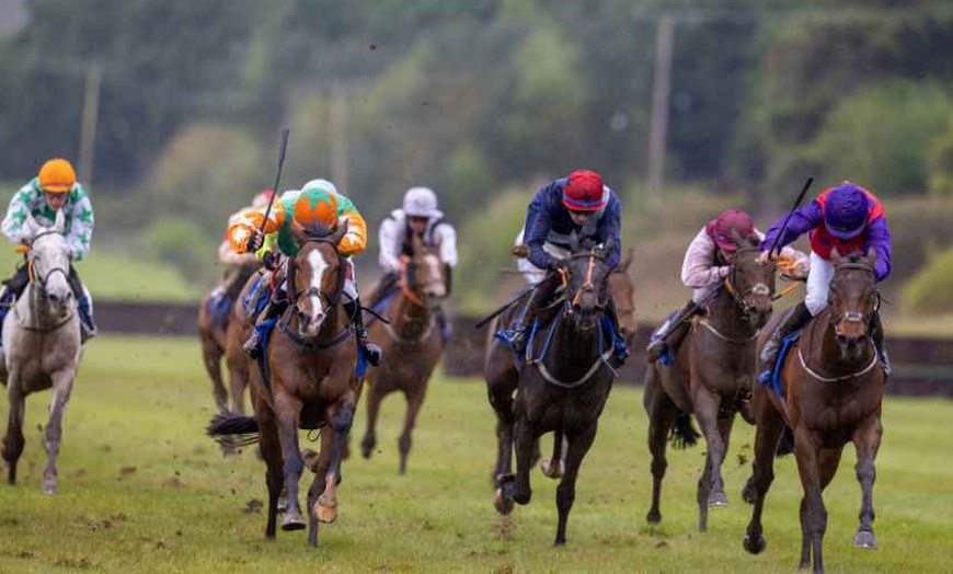 Image 4: One Ticket to Munster National From Oct 18 & Oct 19,2025