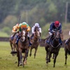 Image 4: Up to 47%% Off at Limerick Racecourse This weekend