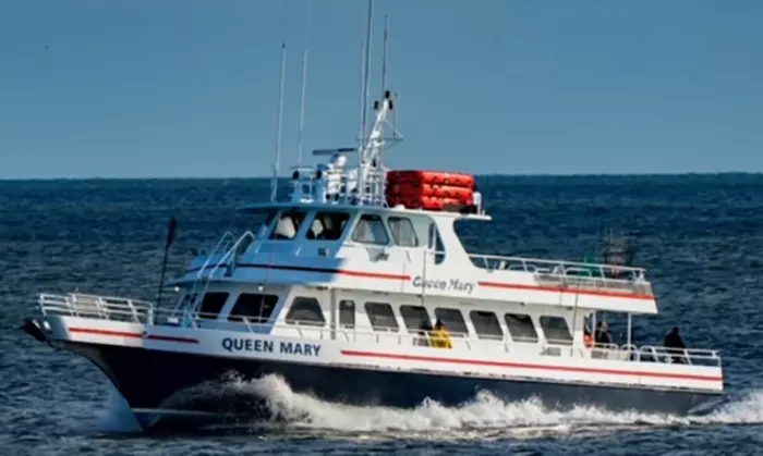 Three-Hour Whale & Dolphin Watching Cruise from Queen Mary Fishing Boat (Up to 40% Off). Four Options Available. - Primary Image