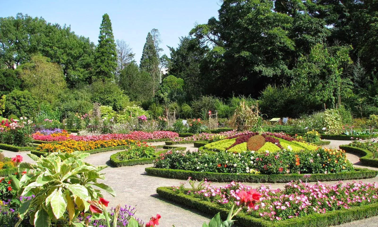 Lyon : chambre double avec petit-déjeuner et champagne