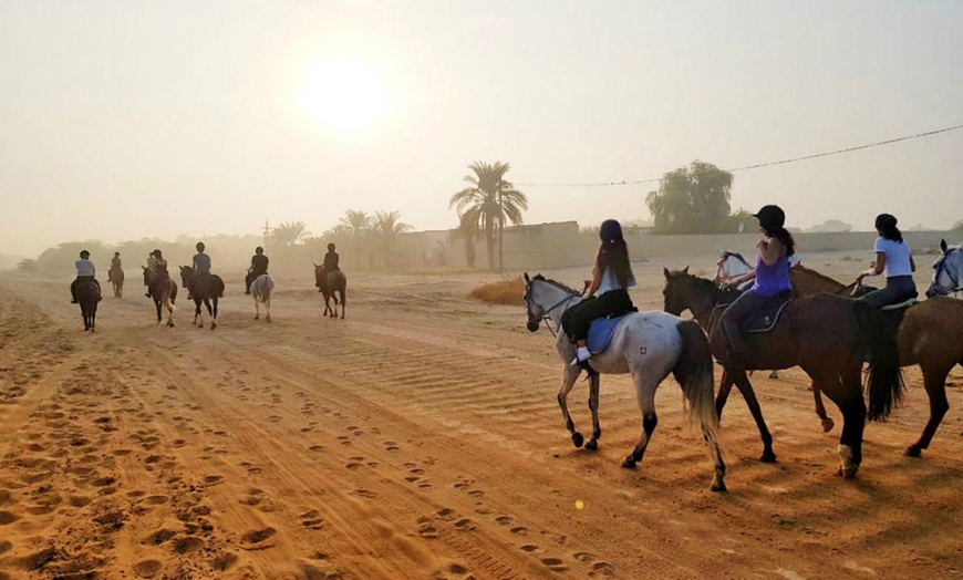 Horse Riding Experience 