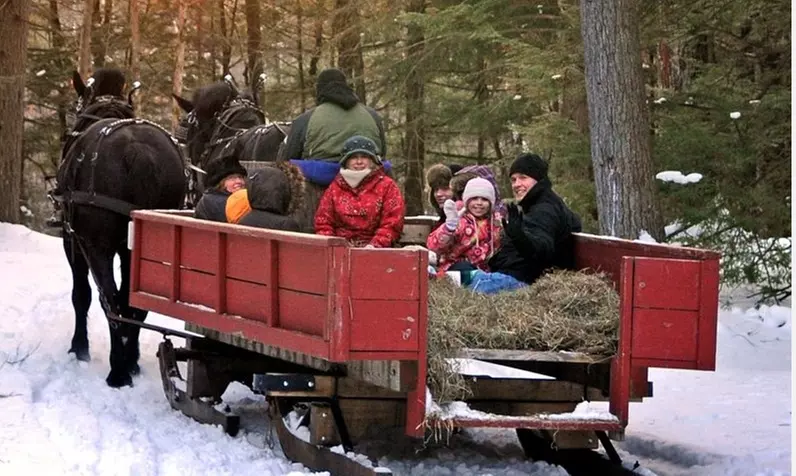 Santa’s Christmas – Express Tractor Train Ticket for 1, 2, 3, or 4 Guests at Charmingfare Farm, Inc.