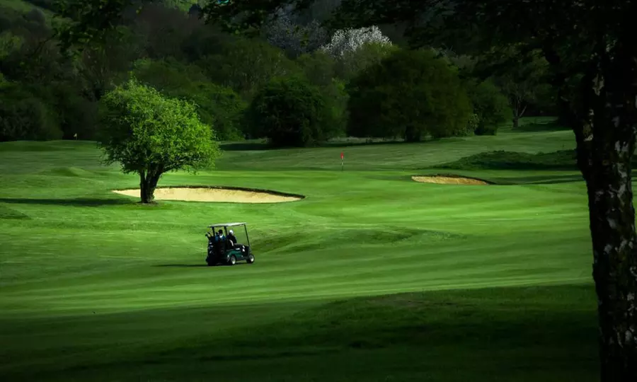 Golf Lesson and Nine Holes of Golf