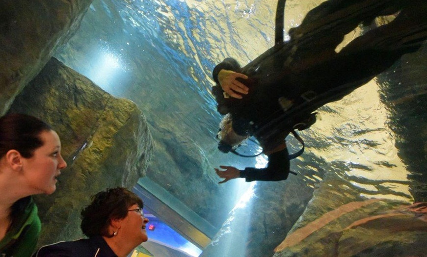 Aquatarium - Brockville, ON | Groupon