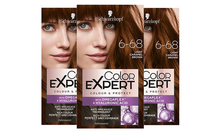 Image 33: Schwarzkopf Color Expert Hair Dye