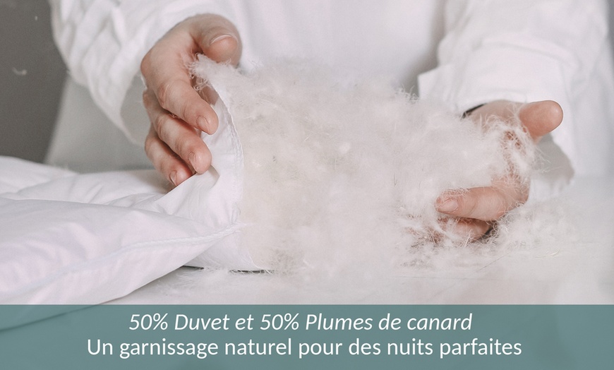 Image 6: Couette chaude 50% duvet et 50% plumes de canard, 290 g/m². Sampur