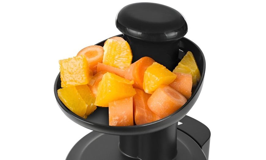 Image 5: Slowjuicer met 150W motor