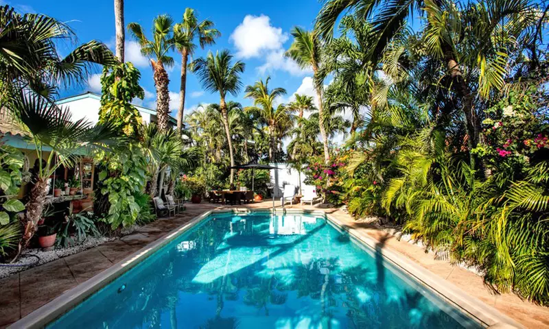 Stay with Snorkeling and Welcome Drinks at Paradera Park in Aruba, with Dates into December  - Primary Image