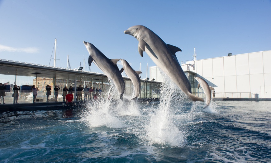 Image 3: Genova 4*: 1 o 2 notti con colazione, Acquario e Biosfera