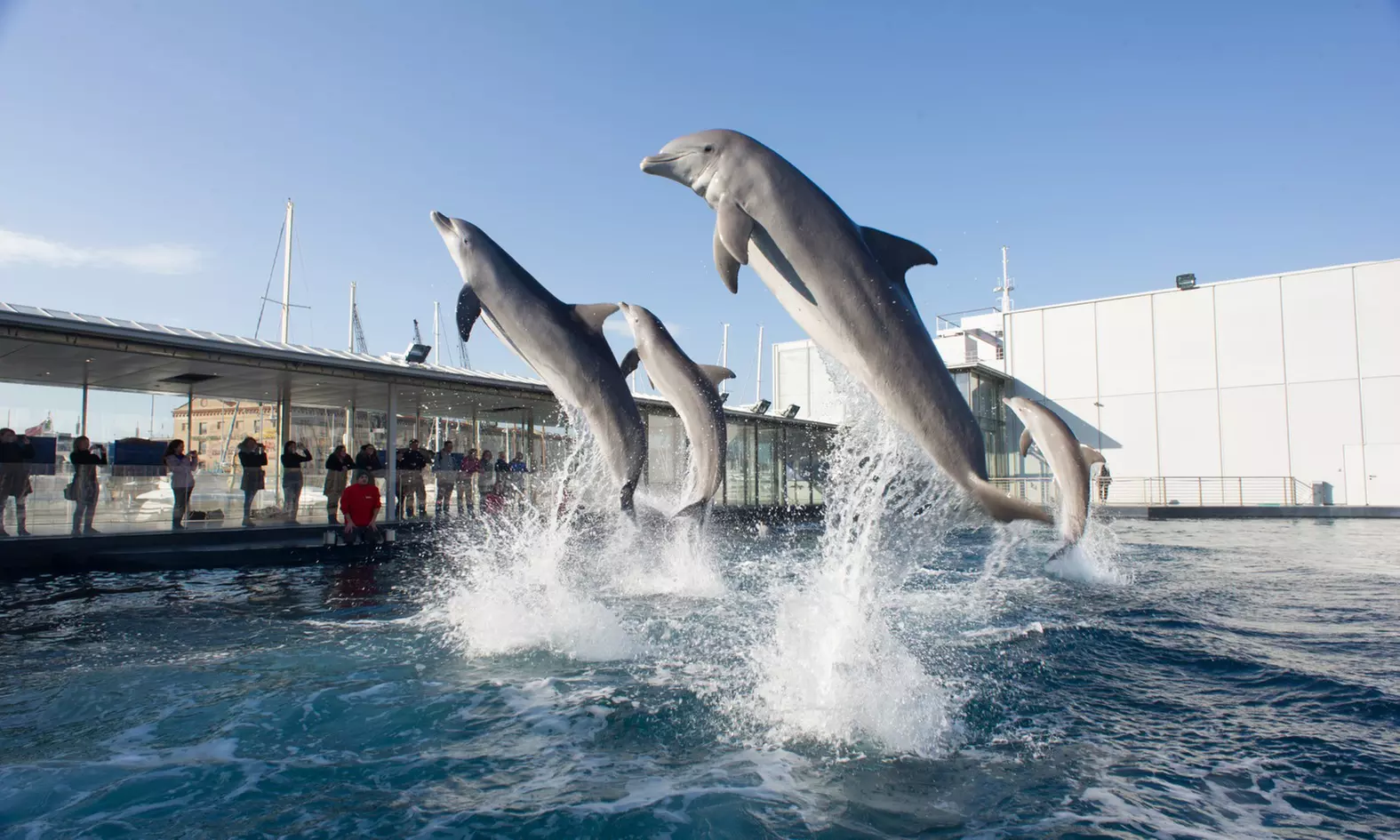 Genova 4*: 1 notte con colazione e ingresso all'Acquario di Genova