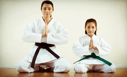 Eight Youth Karate, Brazilian Jiu-Jitsu, or MMA Classes at Red Dawn Combat Club (Half Off) - Primary Image