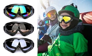 Ski Goggles