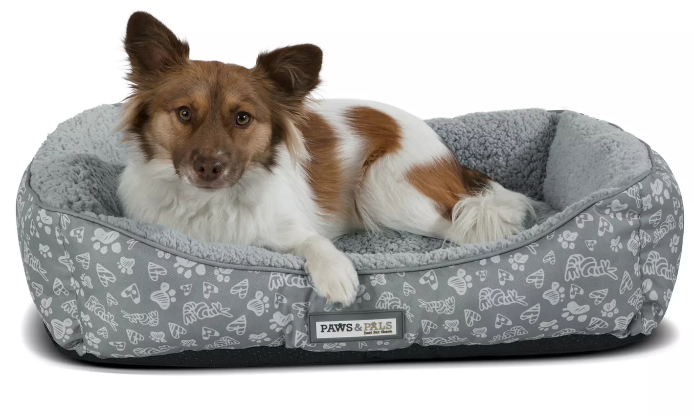 Paws & Pals Plush Printed Lounger Pet Bed - Second Medium