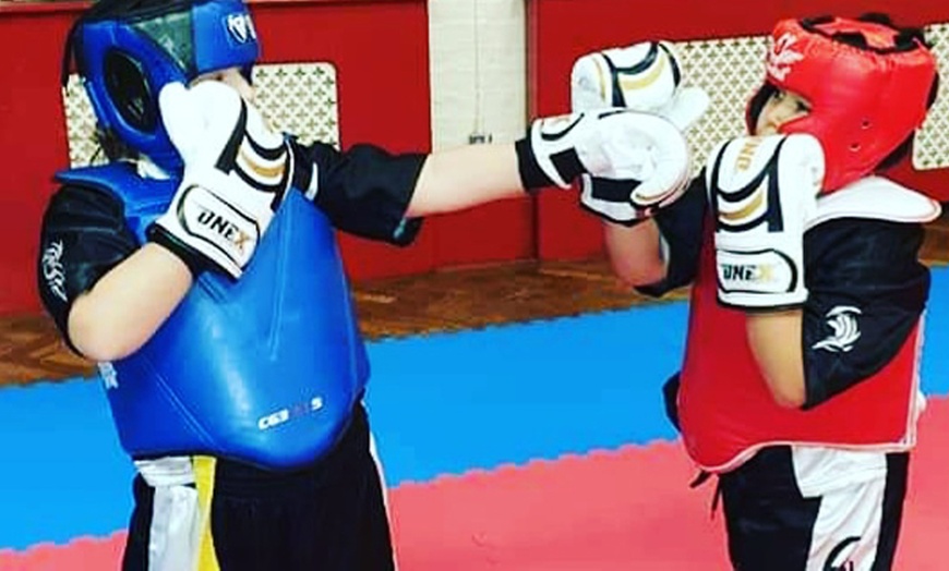 Image 4: Three Kickboxing Sessions