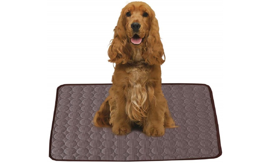 Image 16: Pet Cooling Gel Pad