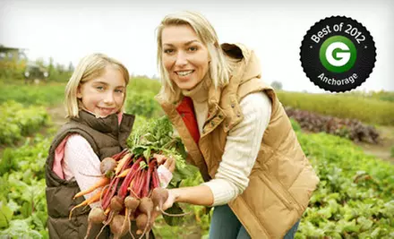 Large, Medium, Small, or Mini Box of Organic Produce for Pickup or Delivery from Full Circle (Up to 52% Off) - Primary Image