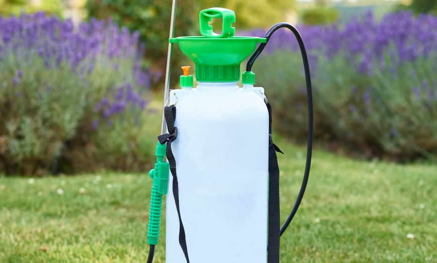 Image 3: 10-Litre Pressure Sprayer