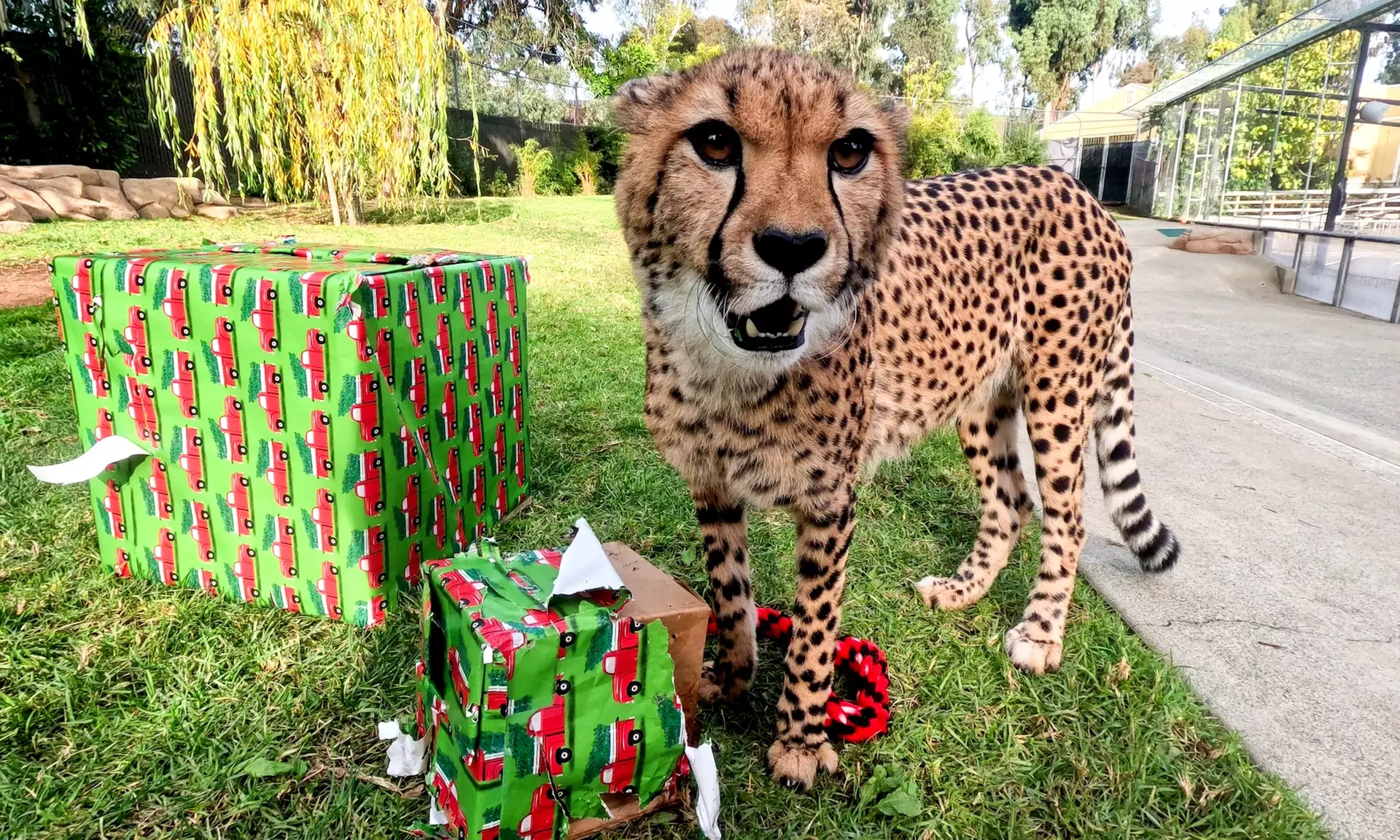 Admission to Holiday in the Park at Six Flags Discovery Kingdom (Up to 69% Off) - Second Medium